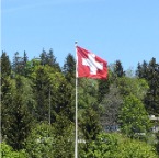 IMG_3133.jpg