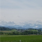 P1010334.jpg