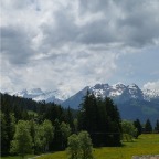 P1010346.jpg